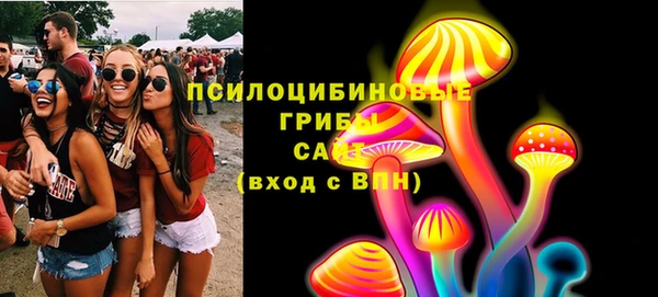 прущие крисы Белоозёрский