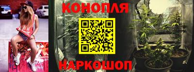 эйфоретик Гусь-Хрустальный