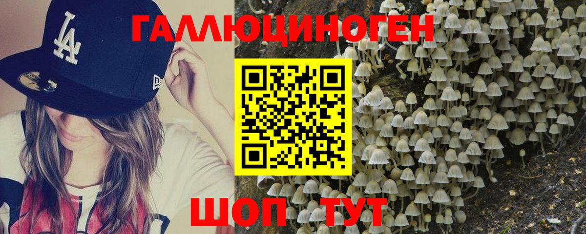 Псилоцибиновые грибы Cubensis Наро-Фоминск
