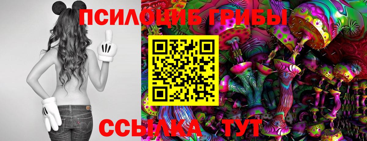 Псилоцибиновые грибы Psilocybine cubensis  Вход с VPN  Наро-Фоминск 